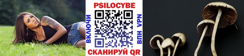 Псилоцибиновые грибы прущие грибы  Хасавюрт 