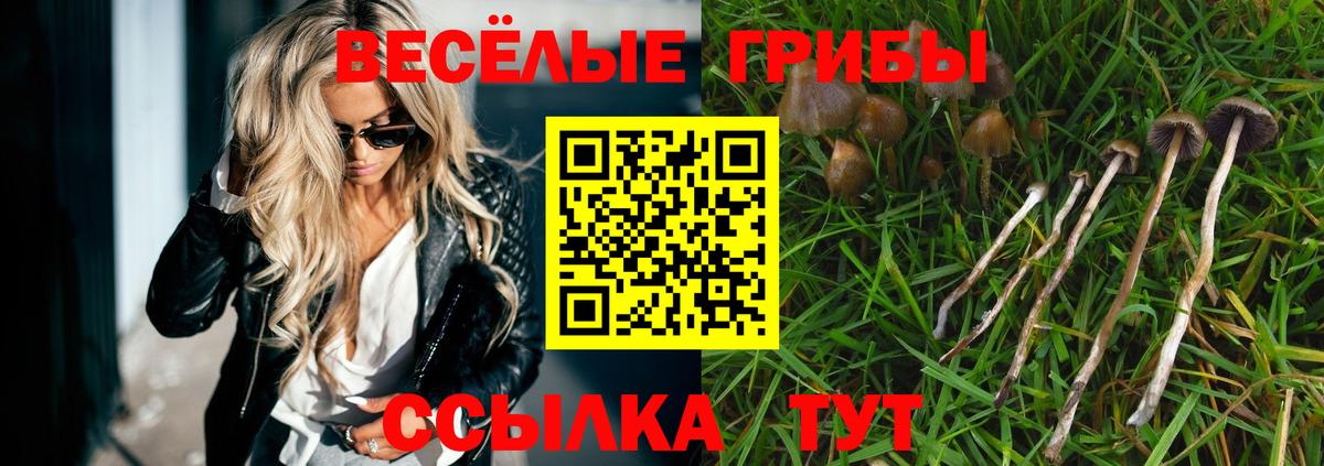 Галлюциногенные грибы MAGIC MUSHROOMS Хасавюрт