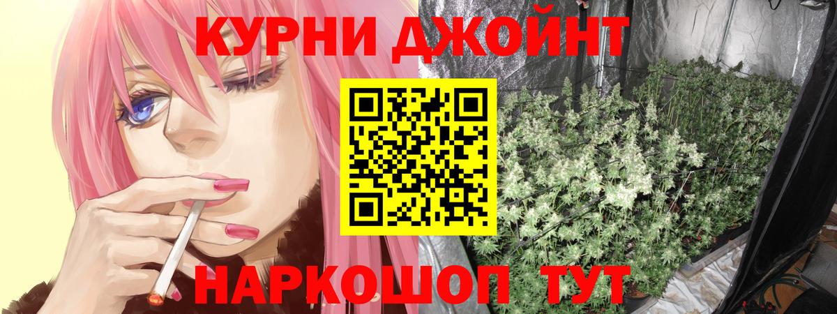 Бошки Шишки MAZAR Хасавюрт